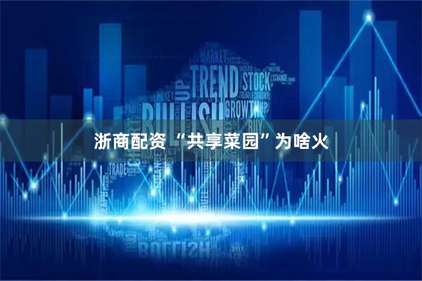 浙商配资 “共享菜园”为啥火